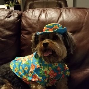 Meet your Posher, Derrick